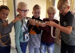 3.d klass Pärnu Mini Zoos. Õppekäiguga miksiti kokku klassi kuuteema Jutud julgetele ja teemanädala loomateema